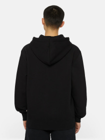 Кофта Dickies Summerdale Zip Through модель DK0A4YQABLK1 Фото