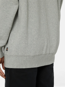 Кофта Dickies Summerdale Zip Through модель DK0A4YQAGYM1 Фото