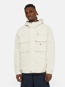 Демісезонна куртка Dickies Fishersville модель DK0A4YQJF901 Фото