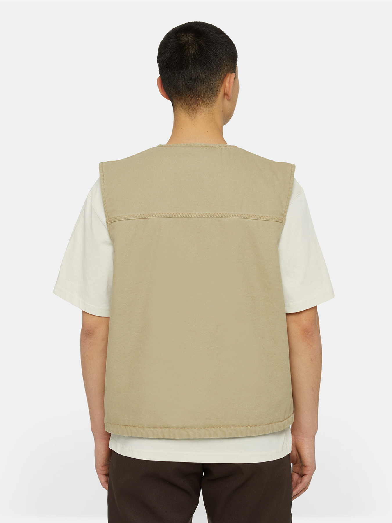 Dickies модель DK0A4YQKF021 Фото