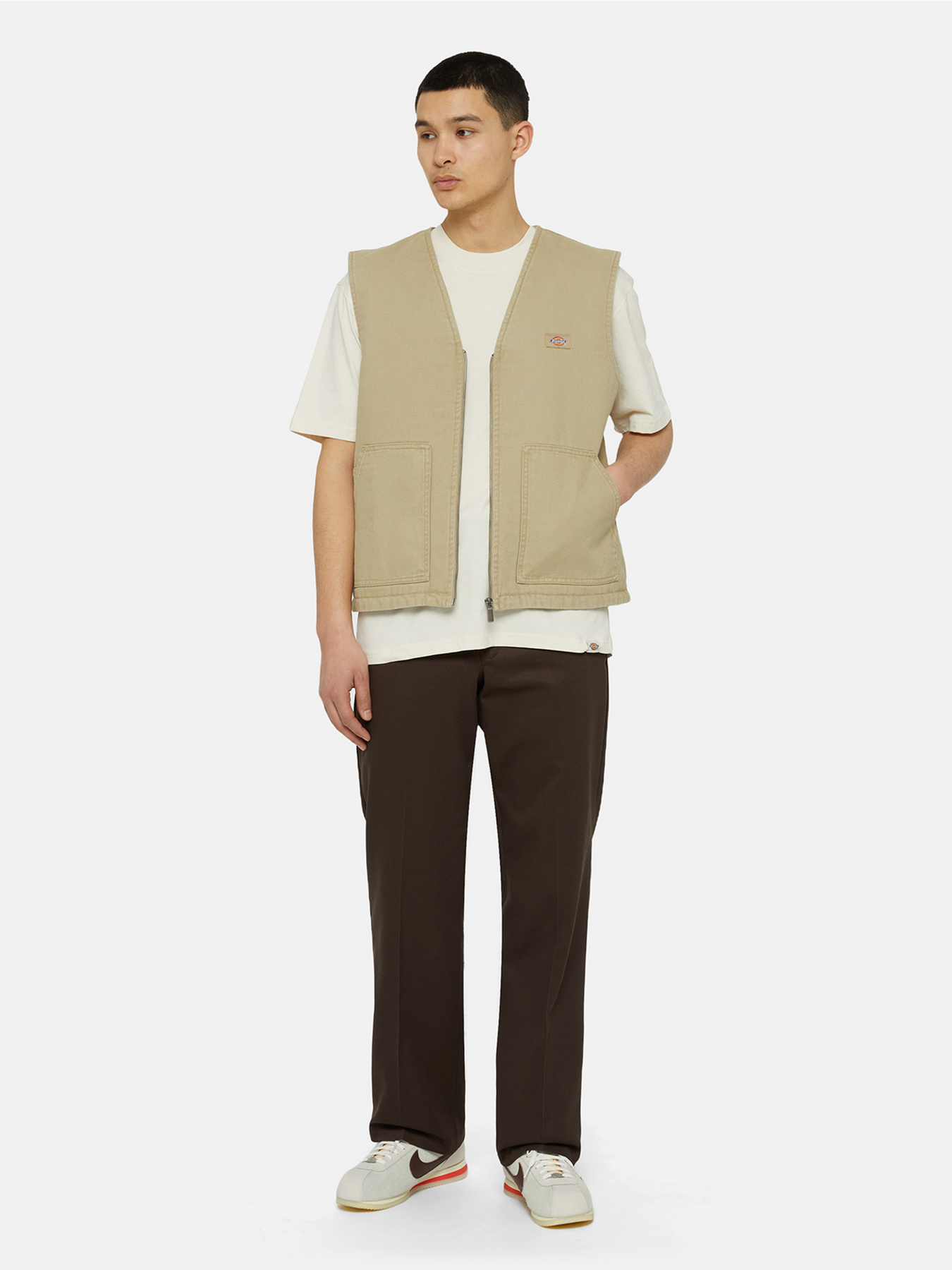 Dickies модель DK0A4YQKF021 Фото