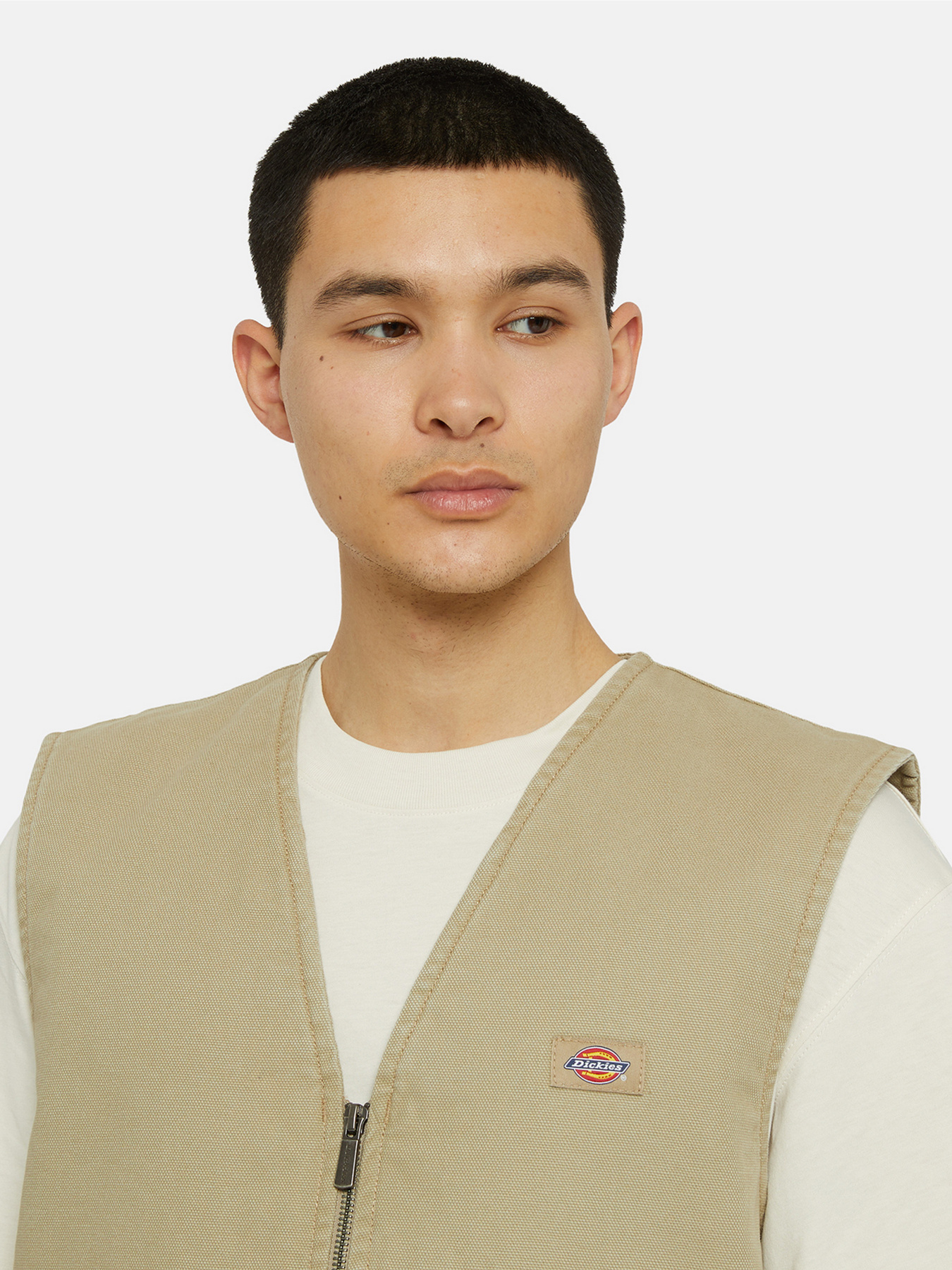 Dickies модель DK0A4YQKF021 Фото