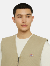 Dickies модель DK0A4YQKF021 Фото