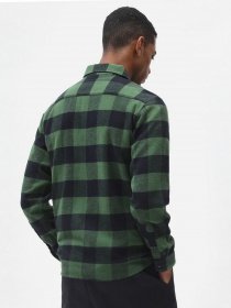 Рубашка повседневная Dickies New Sacramento модель DK0A4XDZPG01 Фото