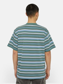 Футболка Dickies Glade Spring Ss модель DK0A4YR1H591 Фото