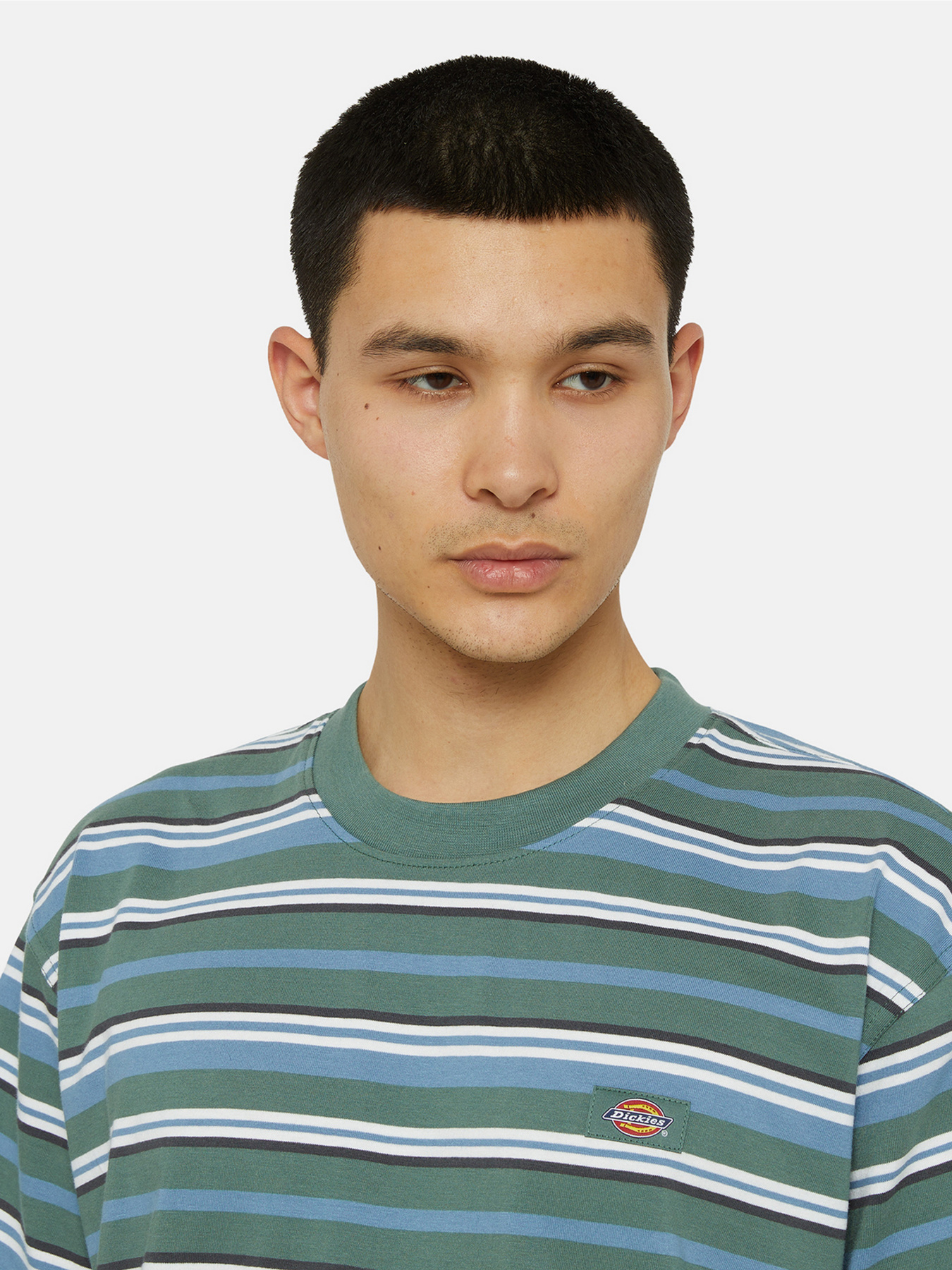 Футболка Dickies Glade Spring Ss модель DK0A4YR1H591 Фото