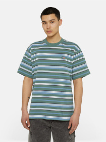 Футболка Dickies Glade Spring Ss модель DK0A4YR1H591 Фото