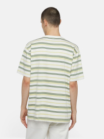 Футболка Dickies Glade Spring Ss модель DK0A4YR1J421 Фото