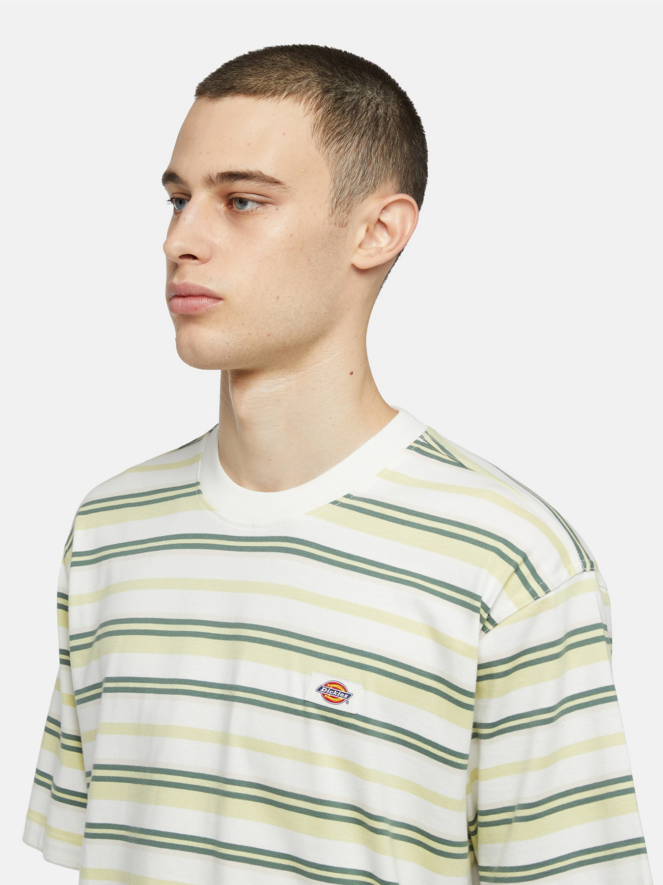 Футболка Dickies Glade Spring Ss модель DK0A4YR1J421 Фото