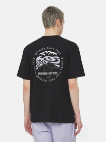 Футболка Dickies Ss Stanardsville модель DK0A4YR2BLK1 Фото