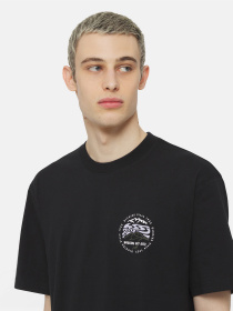 Футболка Dickies Ss Stanardsville модель DK0A4YR2BLK1 Фото