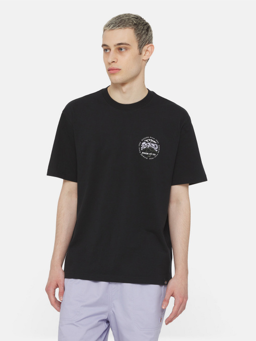 Футболка Dickies Ss Stanardsville модель DK0A4YR2BLK1 Фото