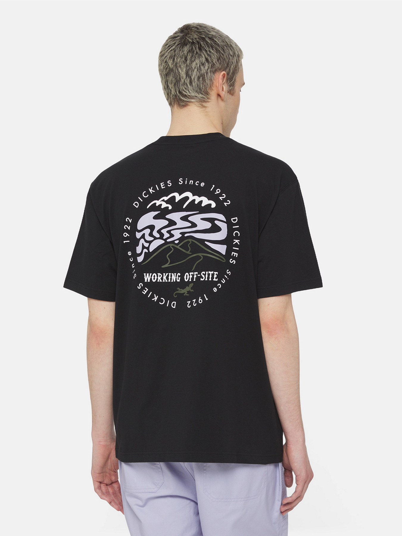 Футболка Dickies Ss Stanardsville модель DK0A4YR2BLK1 Фото