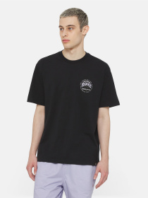 Футболка Dickies Ss Stanardsville модель DK0A4YR2BLK1 Фото