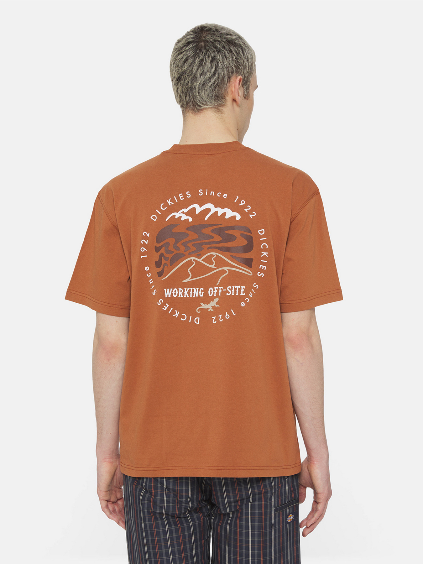 Футболка Dickies Ss Stanardsville модель DK0A4YR2H161 Фото