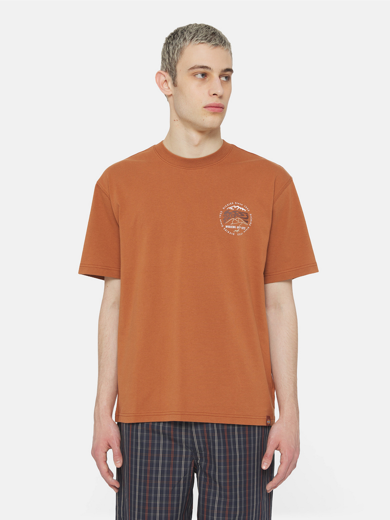 Футболка Dickies Ss Stanardsville модель DK0A4YR2H161 Фото