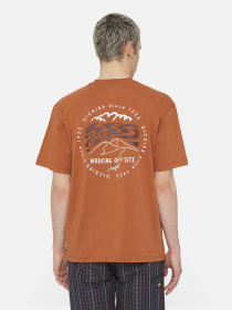 Футболка Dickies Ss Stanardsville модель DK0A4YR2H161 Фото