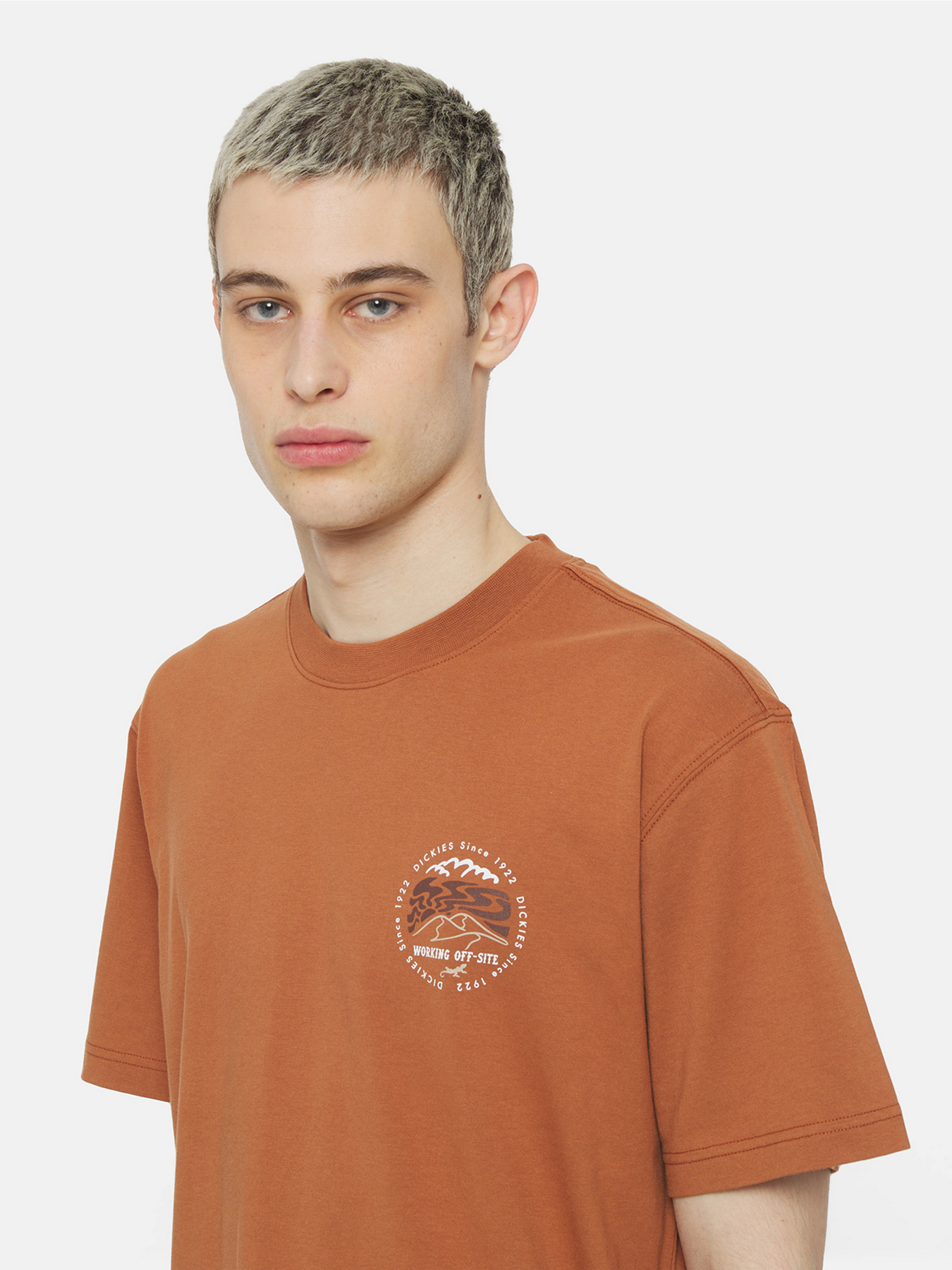 Футболка Dickies Ss Stanardsville модель DK0A4YR2H161 Фото