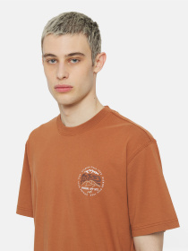 Футболка Dickies Ss Stanardsville модель DK0A4YR2H161 Фото