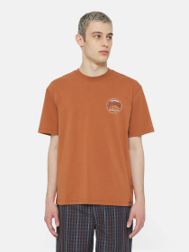 Футболка Dickies Ss Stanardsville модель DK0A4YR2H161 Фото