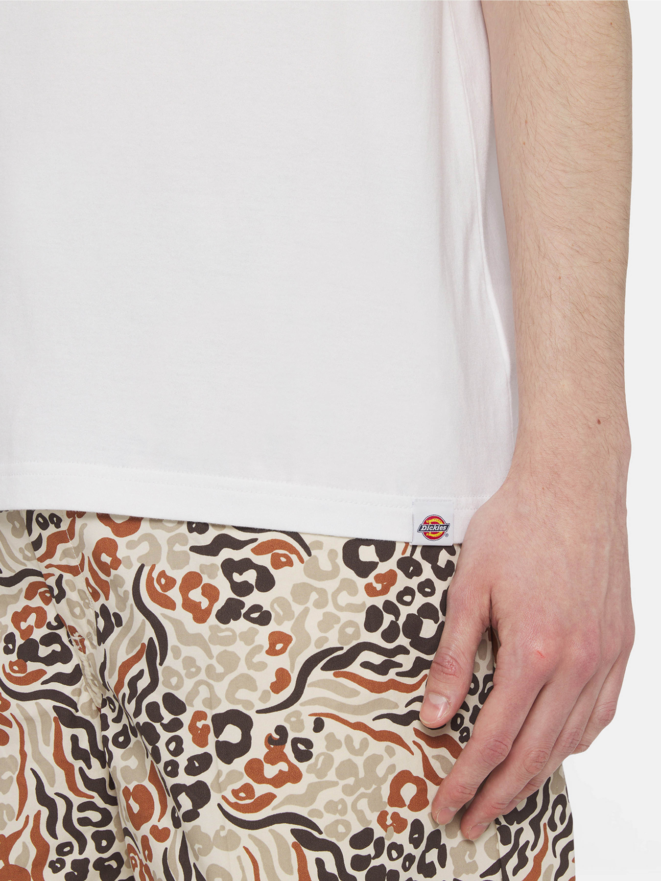 Футболка Dickies Ss Stanardsville модель DK0A4YR2WHX1 Фото