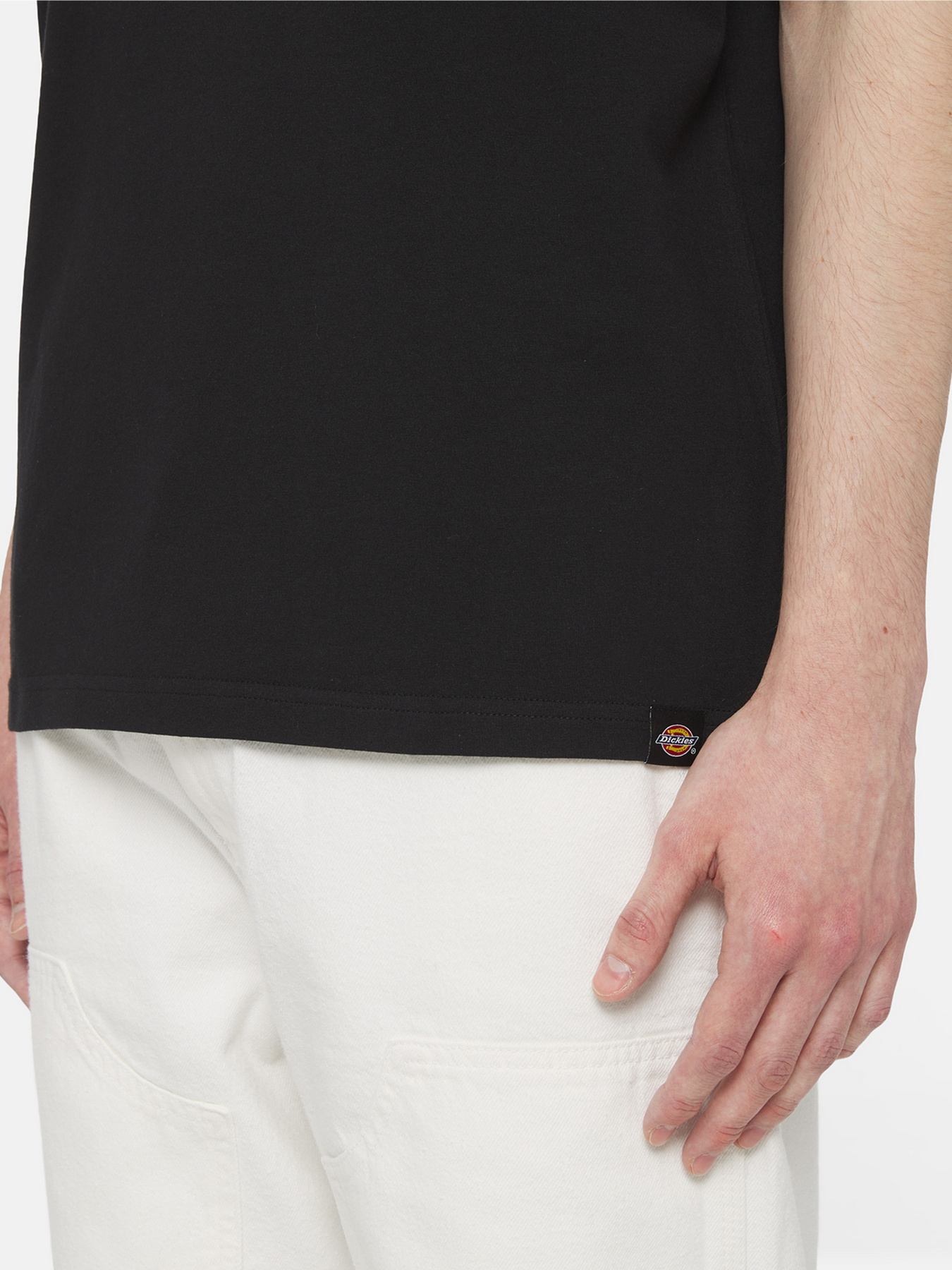 Футболка Dickies Timberville  Ss модель DK0A4YR3BLK1 Фото