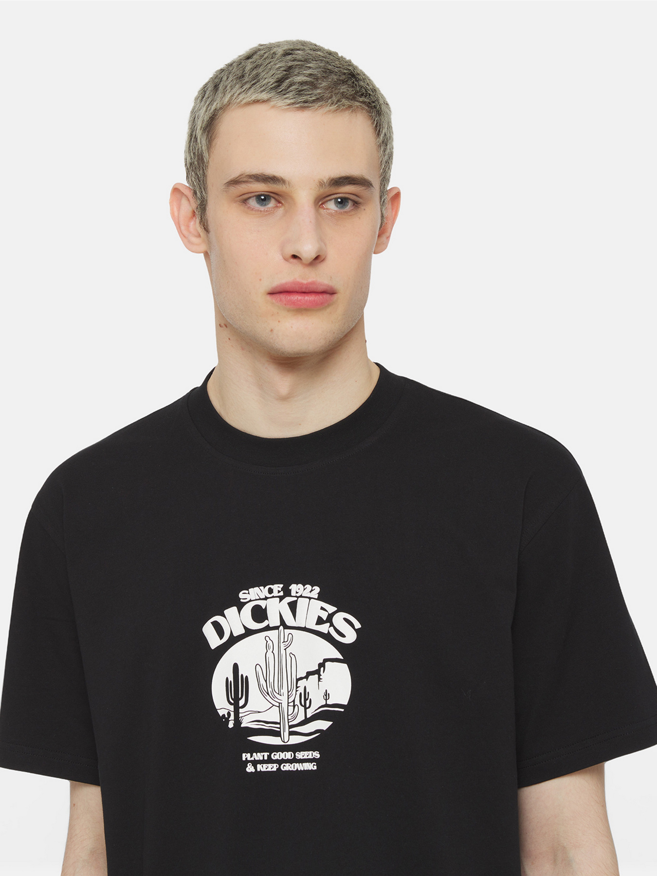 Футболка Dickies Timberville  Ss модель DK0A4YR3BLK1 Фото