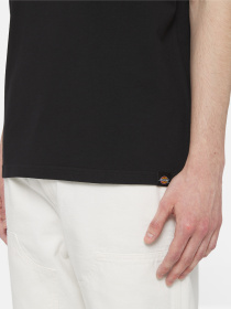 Футболка Dickies Timberville  Ss модель DK0A4YR3BLK1 Фото