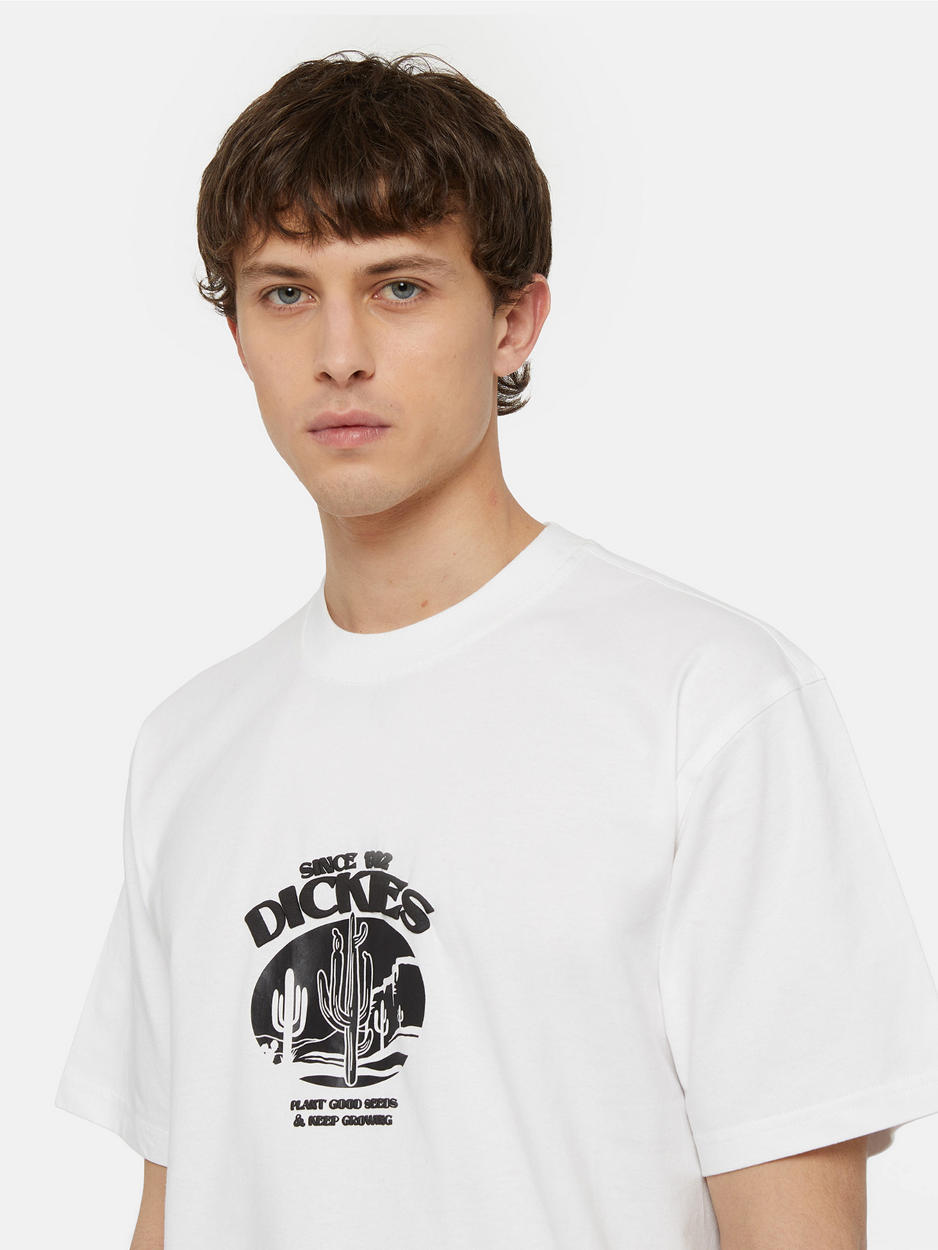 Футболка Dickies Timberville  Ss модель DK0A4YR3WHX1 Фото