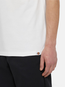 Футболка Dickies Timberville  Ss модель DK0A4YR3WHX1 Фото