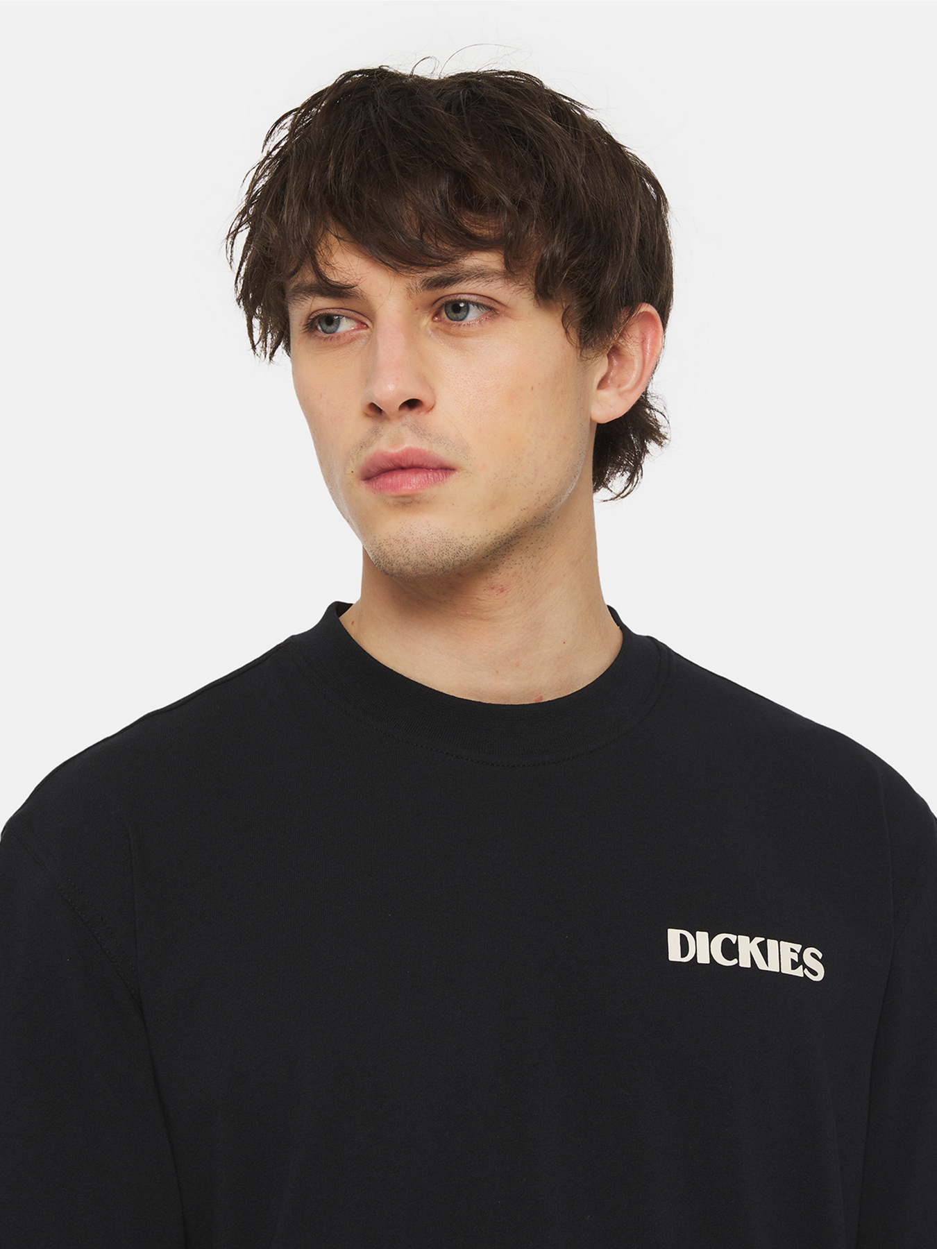 Футболка Dickies Herndon Ss модель DK0A4YR5BLK1 Фото