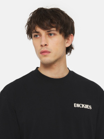 Футболка Dickies Herndon Ss модель DK0A4YR5BLK1 Фото