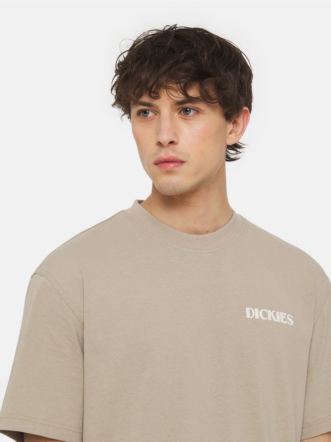 Футболка Dickies Herndon Ss модель DK0A4YR5SS01 Фото