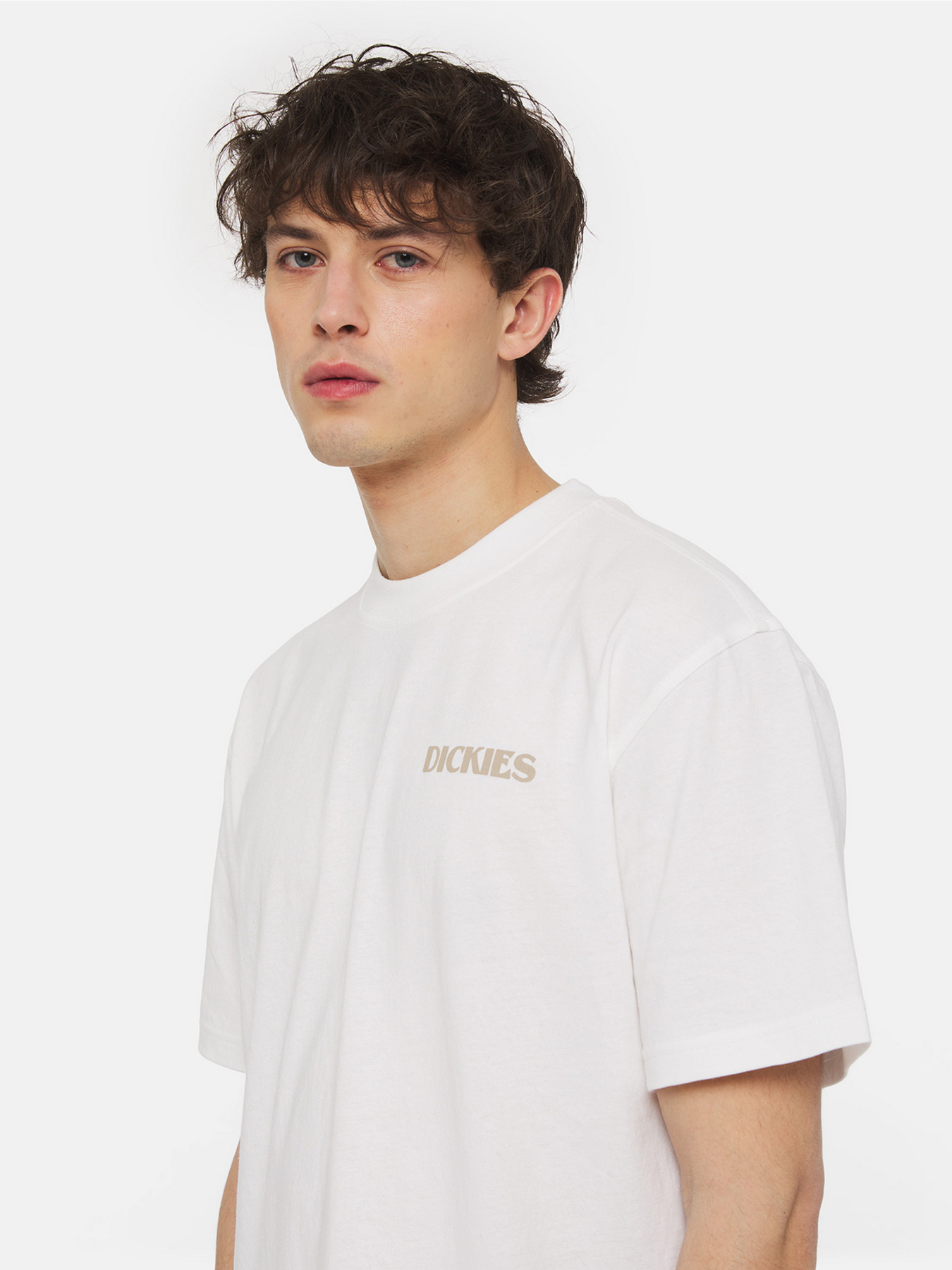 Футболка Dickies Herndon Ss модель DK0A4YR5WHX1 Фото