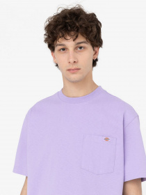 Футболка Dickies Porterdale модель DK0A4TMOE611 Фото