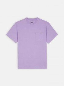 Футболка Dickies Porterdale модель DK0A4TMOE611 Фото