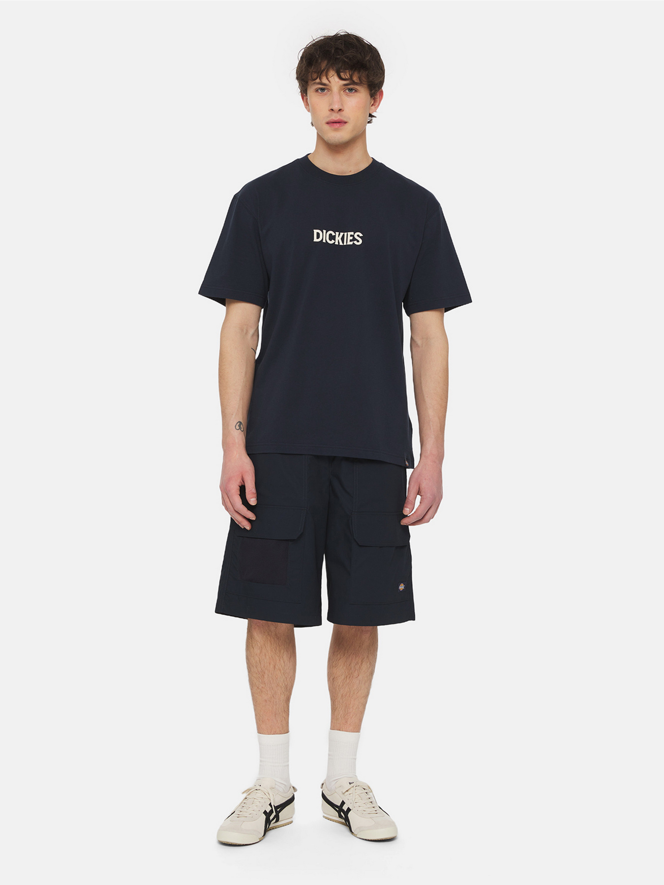 Футболка Dickies Patrick Springs  Ss модель DK0A4YR7DNX1 Фото