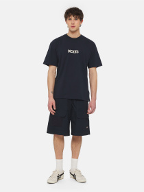 Футболка Dickies Patrick Springs  Ss модель DK0A4YR7DNX1 Фото