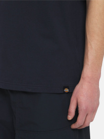 Футболка Dickies Patrick Springs  Ss модель DK0A4YR7DNX1 Фото