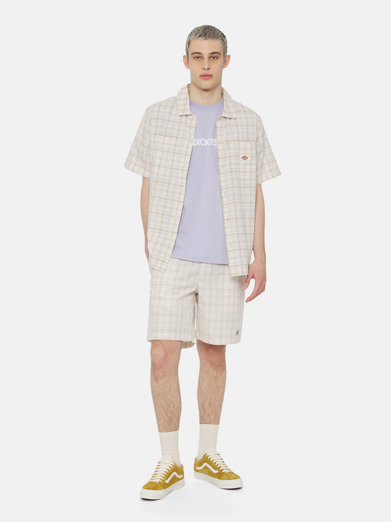 Футболка Dickies Patrick Springs  Ss модель DK0A4YR7H181 Фото