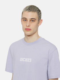 Футболка Dickies Patrick Springs  Ss модель DK0A4YR7H181 Фото