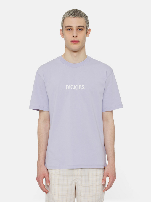 Футболка Dickies Patrick Springs  Ss модель DK0A4YR7H181 Фото