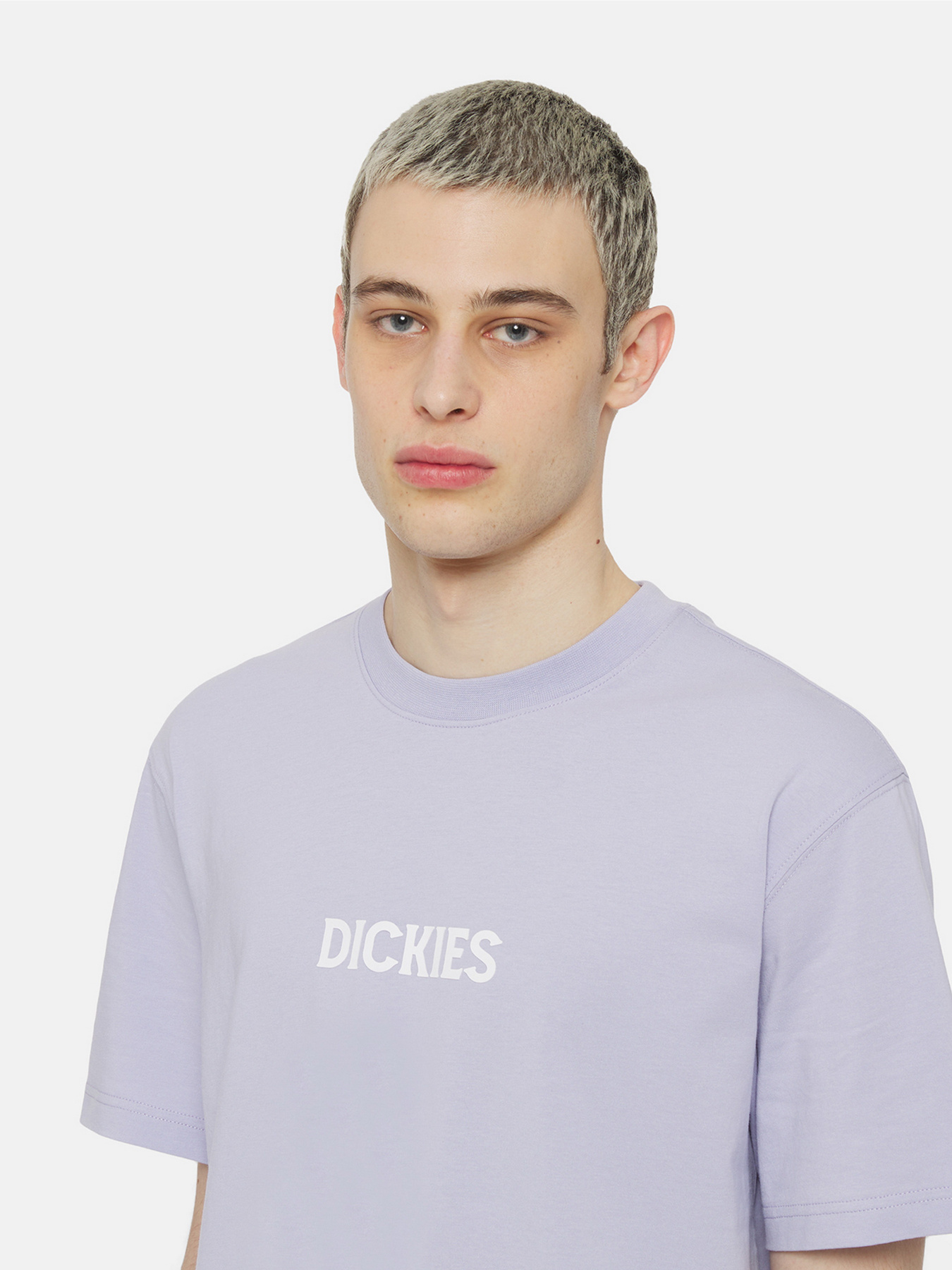 Футболка Dickies Patrick Springs  Ss модель DK0A4YR7H181 Фото