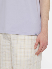 Футболка Dickies Patrick Springs  Ss модель DK0A4YR7H181 Фото