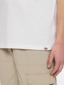 Футболка Dickies Patrick Springs  Ss модель DK0A4YR7WHX1 Фото