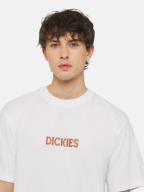 Футболка Dickies Patrick Springs  Ss модель DK0A4YR7WHX1 Фото