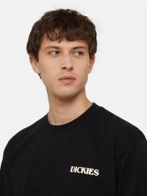 Свитшот Dickies Timberville  Ls модель DK0A4YRBBLK1 Фото