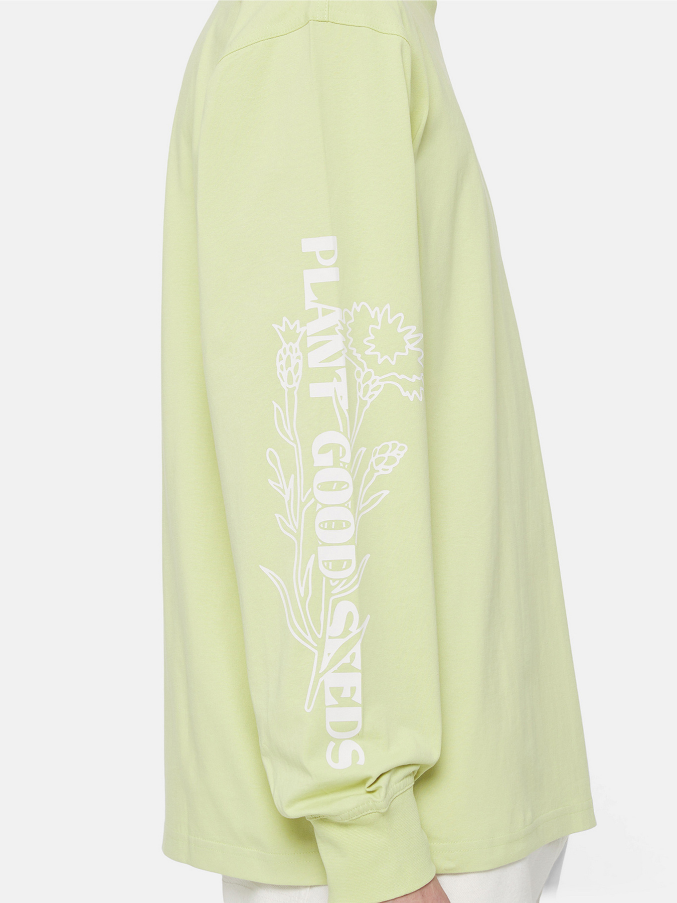 Свитшот Dickies Timberville  Ls модель DK0A4YRBH141 Фото