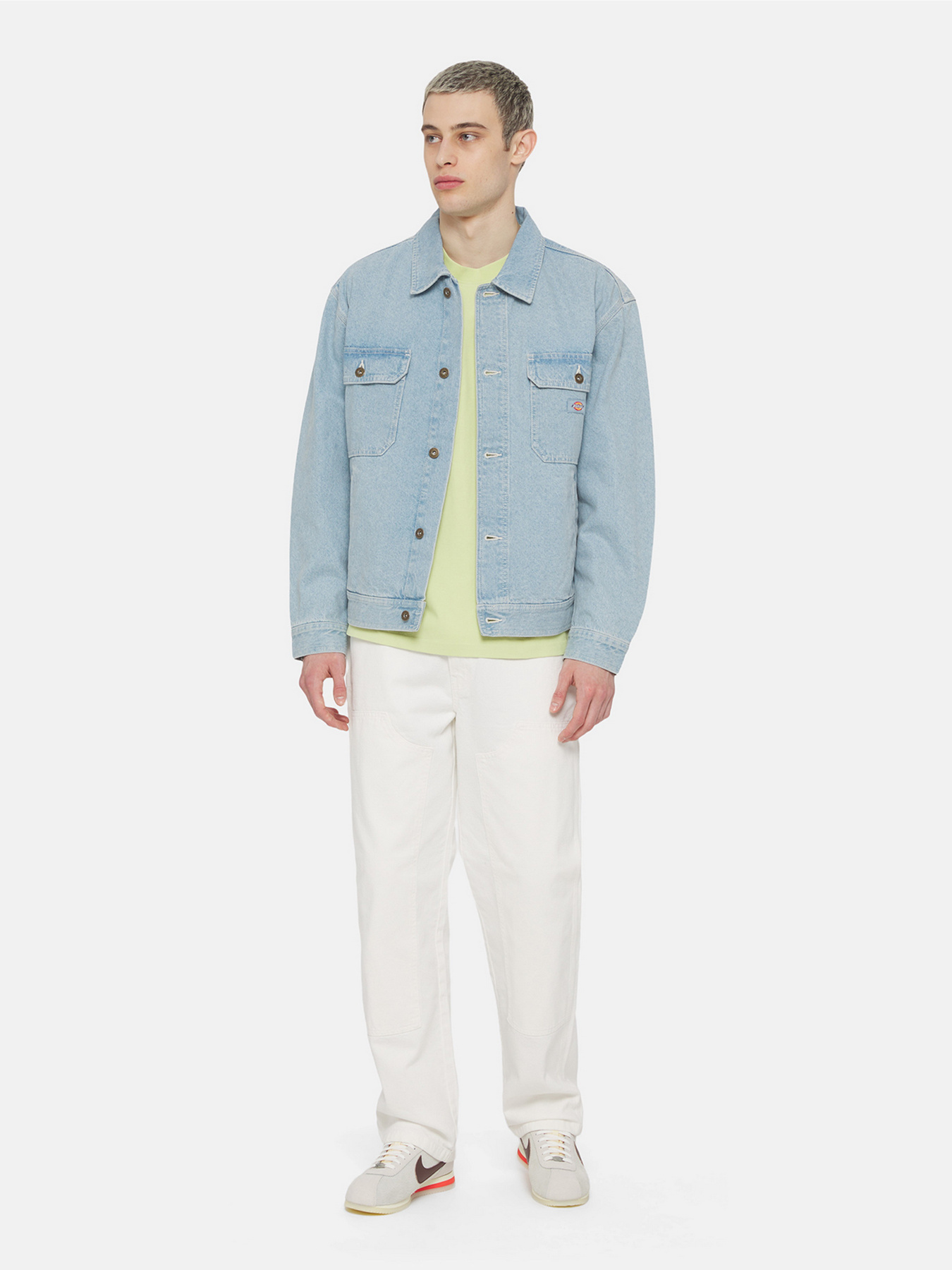 Свитшот Dickies Timberville  Ls модель DK0A4YRBH141 Фото