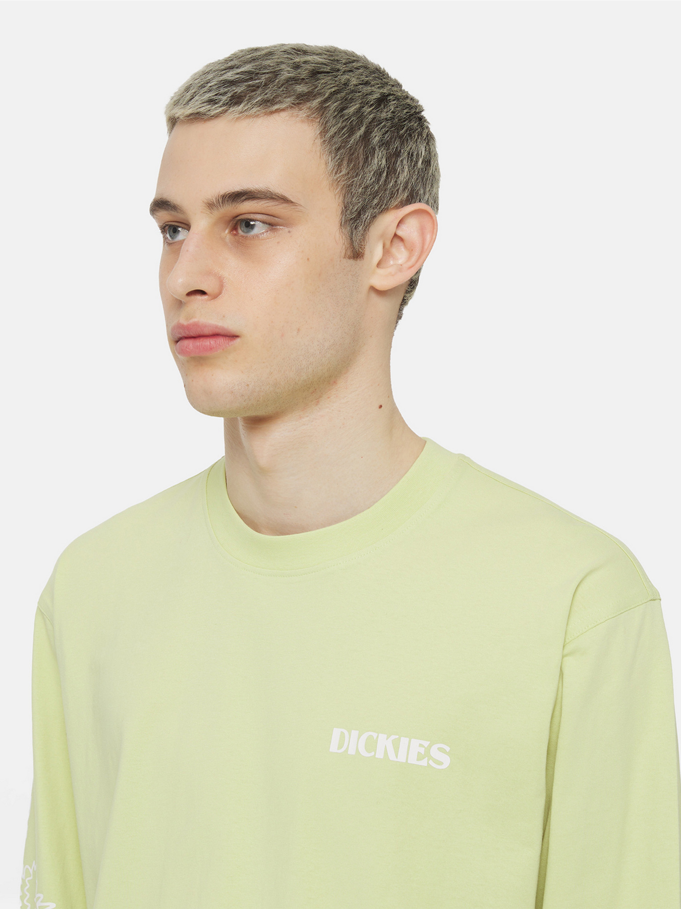 Худі та світшоти Dickies Timberville Ls модель DK0A4YRBH141 Худі та світшоти Dickies Timberville Ls модель DK0A4YRBH141 Фото